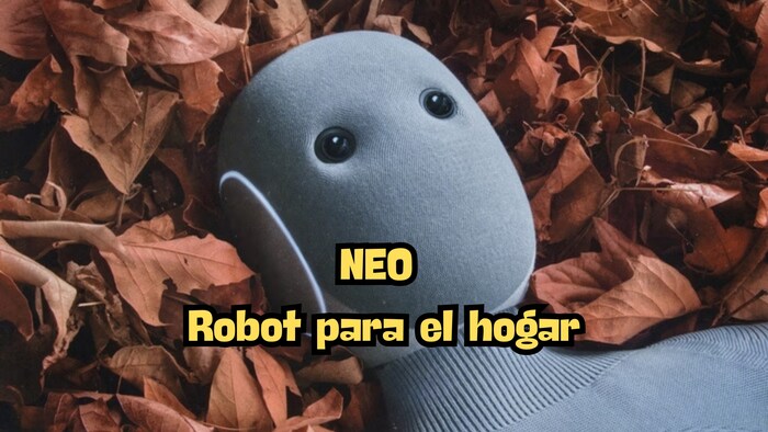 Neo robot